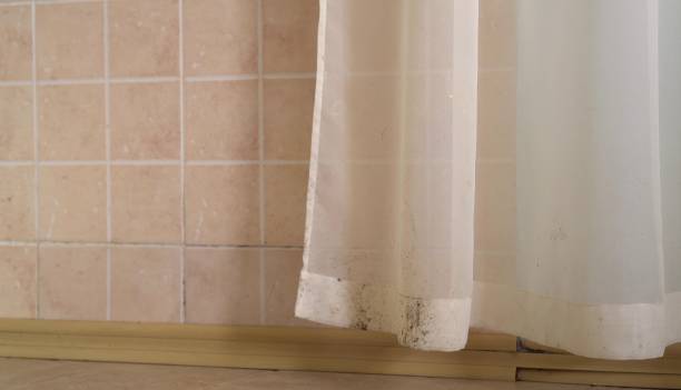 Best Dehumidification Services  in Lakehurst, NJ