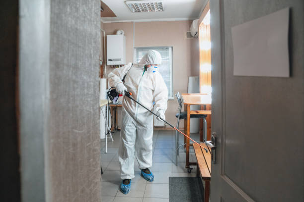 Best Black Mold Removal  in Lakehurst, NJ