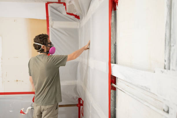 Best Water Damage & Mold Remediation  in Lakehurst, NJ