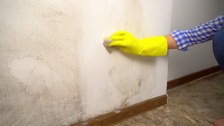 Best Mold-Related Health Consultation  in Lakehurst, NJ