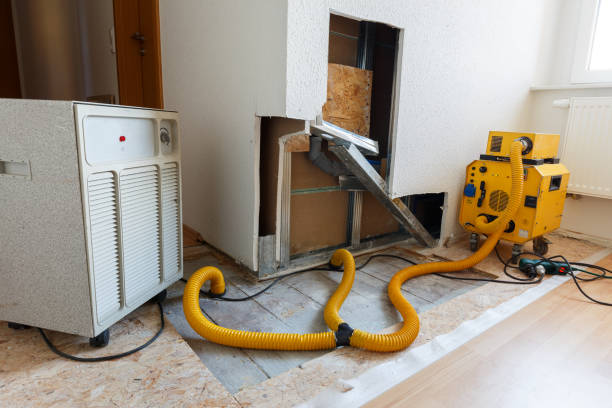 Best Crawl Space Mold Remediation  in Lakehurst, NJ
