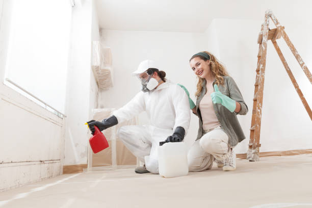 Best Industrial Mold Remediation  in Lakehurst, NJ